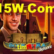 Interface Premium timbet
